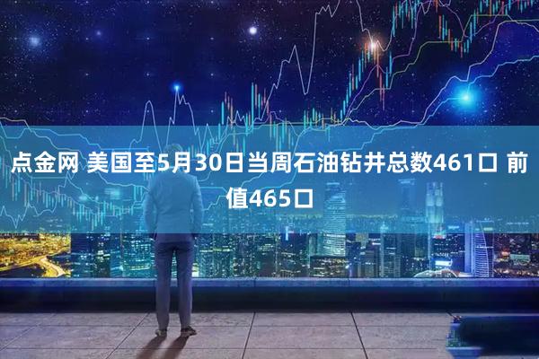 点金网 美国至5月30日当周石油钻井总数461口 前值465口