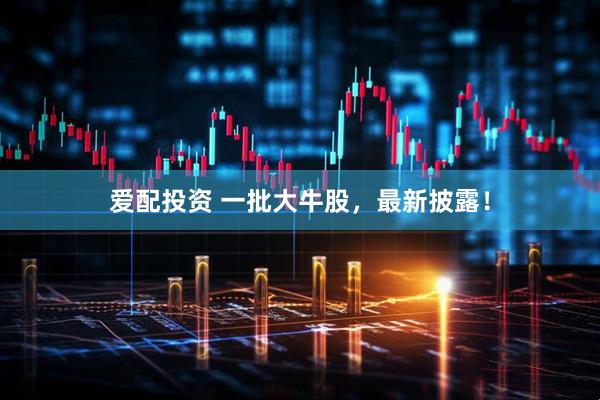 爱配投资 一批大牛股，最新披露！