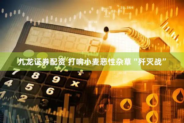 九龙证券配资 打响小麦恶性杂草“歼灭战”