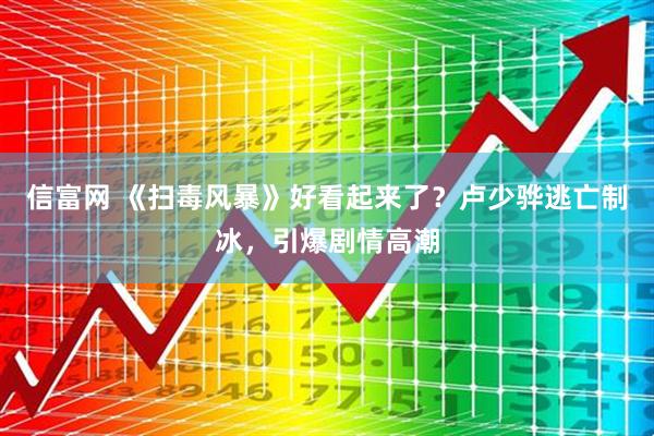 信富网 《扫毒风暴》好看起来了？卢少骅逃亡制冰，引爆剧情高潮
