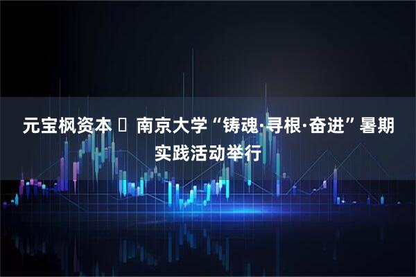 元宝枫资本 ​南京大学“铸魂·寻根·奋进”暑期实践活动举行