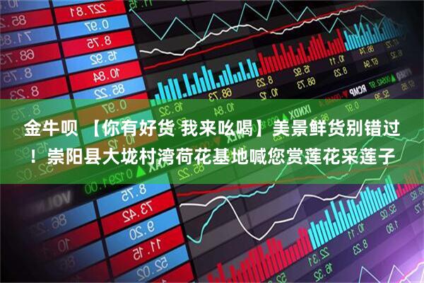 金牛呗 【你有好货 我来吆喝】美景鲜货别错过！崇阳县大垅村湾荷花基地喊您赏莲花采莲子