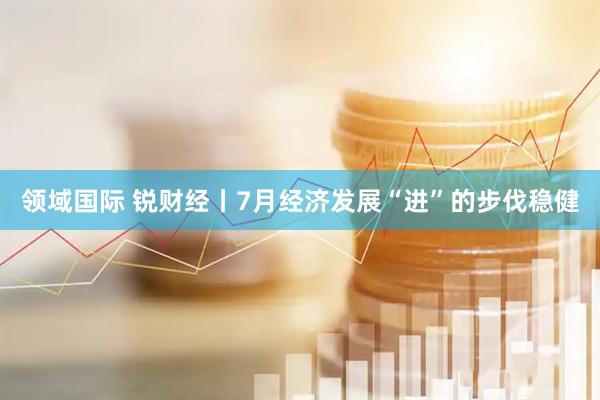 领域国际 锐财经丨7月经济发展“进”的步伐稳健
